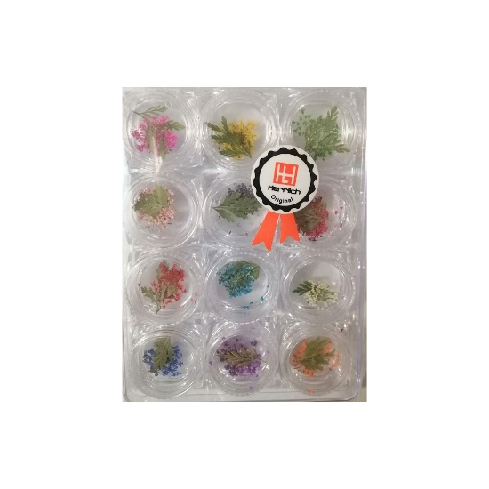 دیزاین ناخن هرلیچ گل خشک بسته 12 عددی