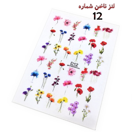 لنز ناخن شماره D12