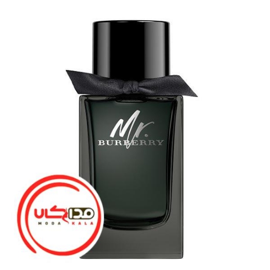 عطر ادکلن باربری مستر باربری ادو پرفیوم | Burberry Mr. Burberry Eau de Parfum