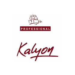 تصویر برای تولیدکننده: کالیون | KALYON