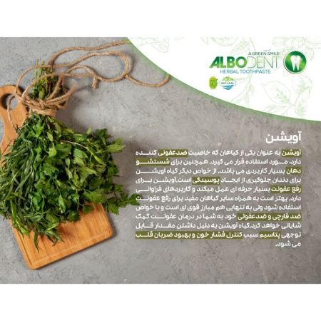 خمیر دندان آلبودنت مدل mint حجم 50 میلی لیتر